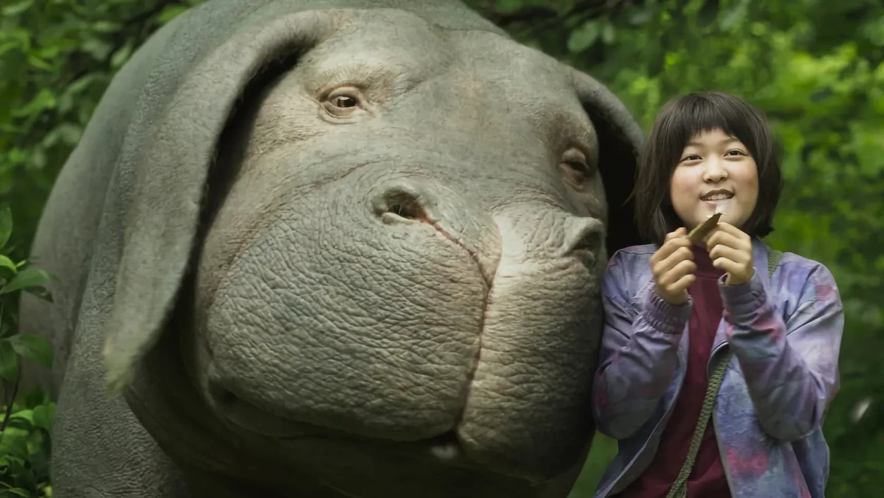 Záběr z filmu Okja