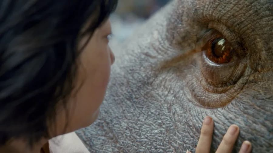 Film Okja: Víc než jen další dojemné drama Netflixu