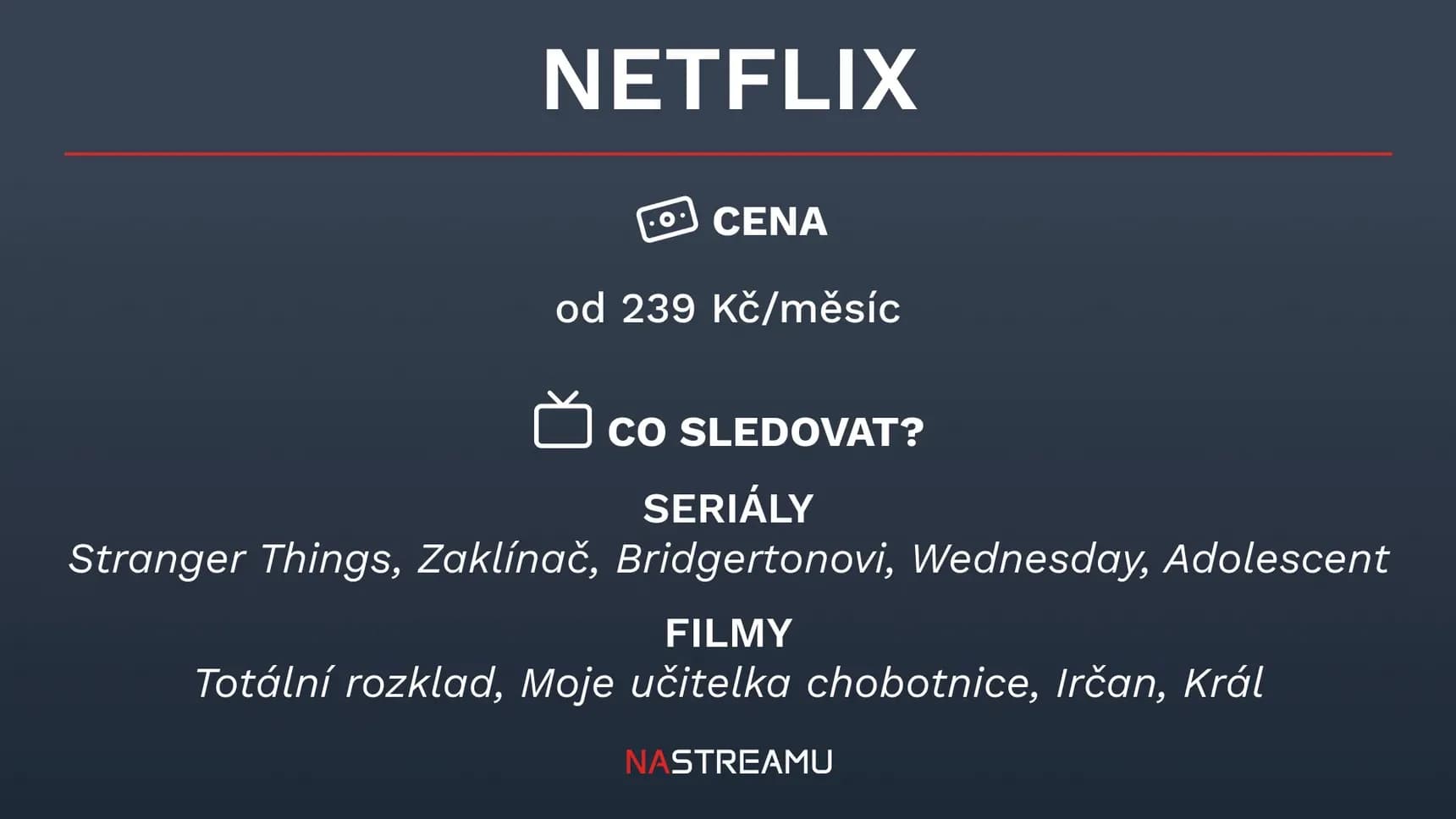Infografika k platformě Netflix