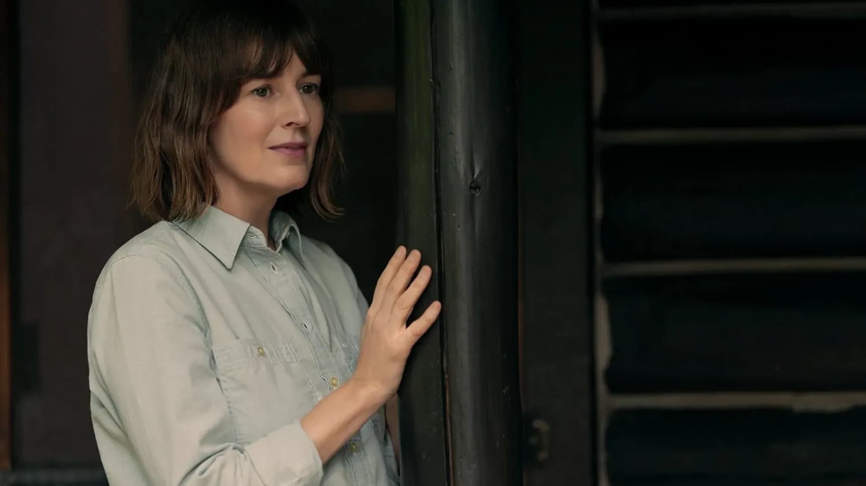 Rosemarie DeWitt jako Jill Bodwin v seriálu Živel