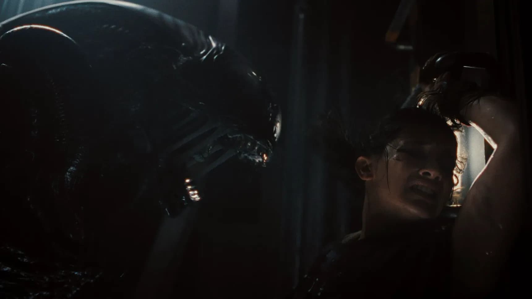 Vetřelec a Cailee Spaeny ve filmu Vetřelec: Romulus