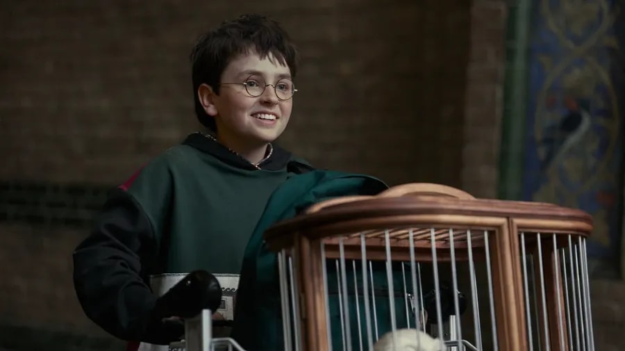 Dominic McLaughlin jako Harry Potter v seriálu Harry Potter a Kámen mudrců